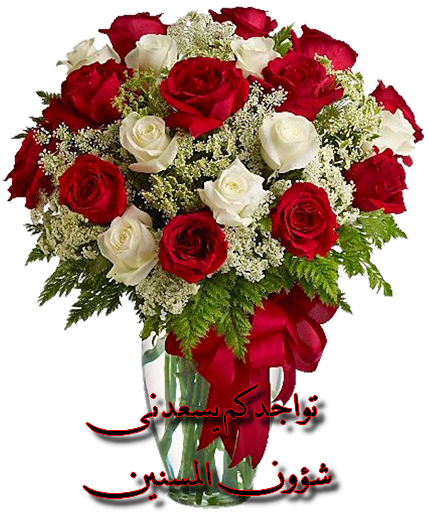 http://www8.0zz0.com/2016/04/24/20/369753464.png