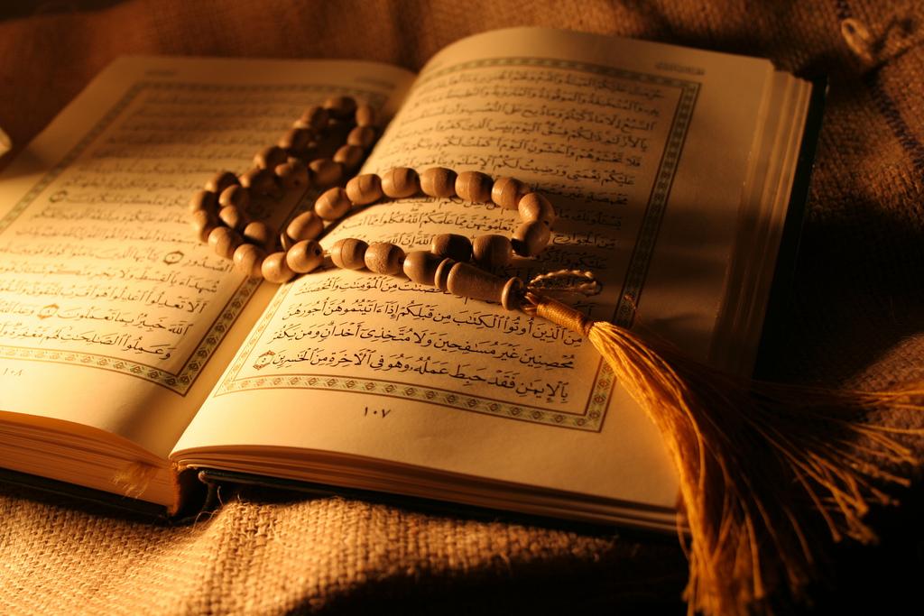 العنوان
