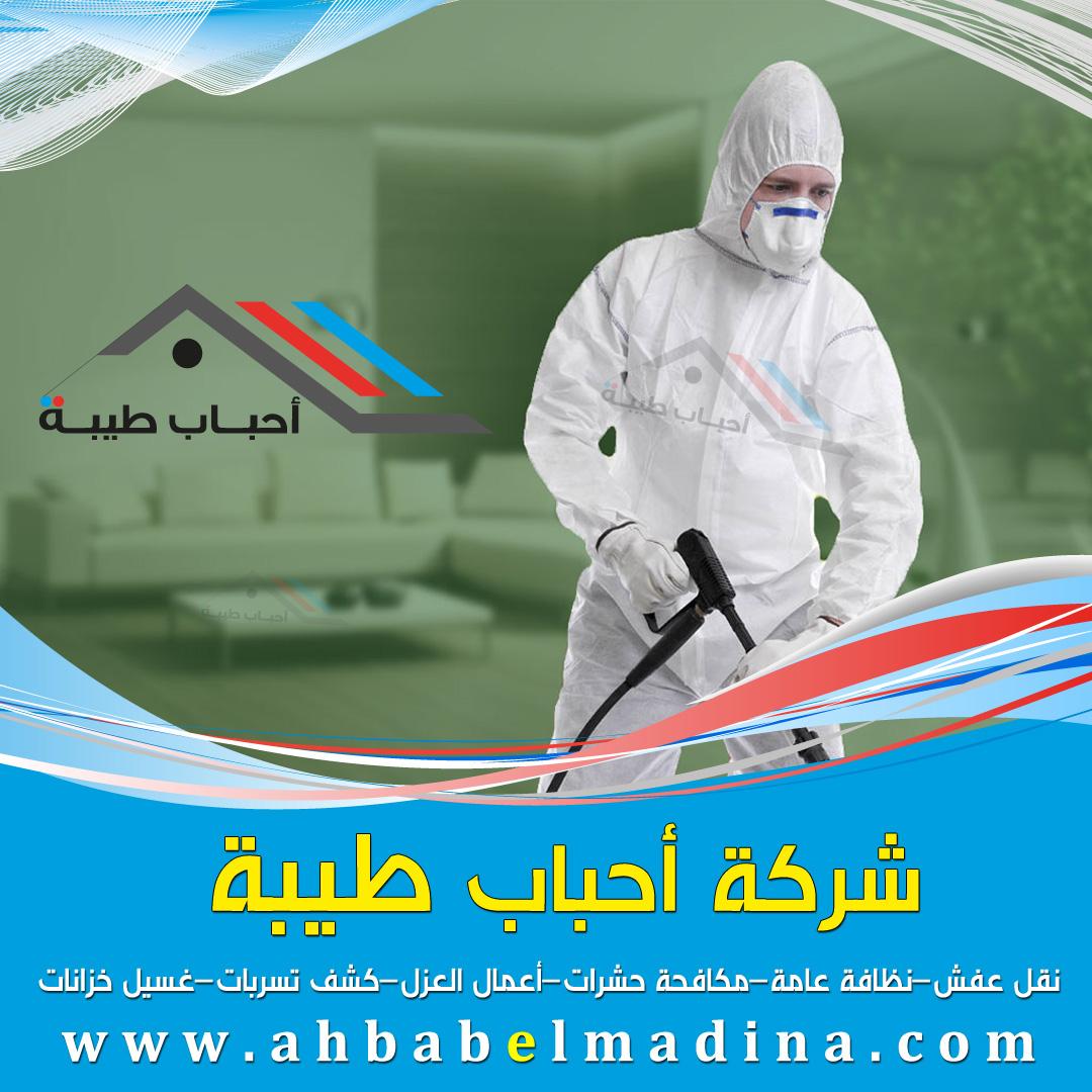 شركة مكافحة حشرات بجدة