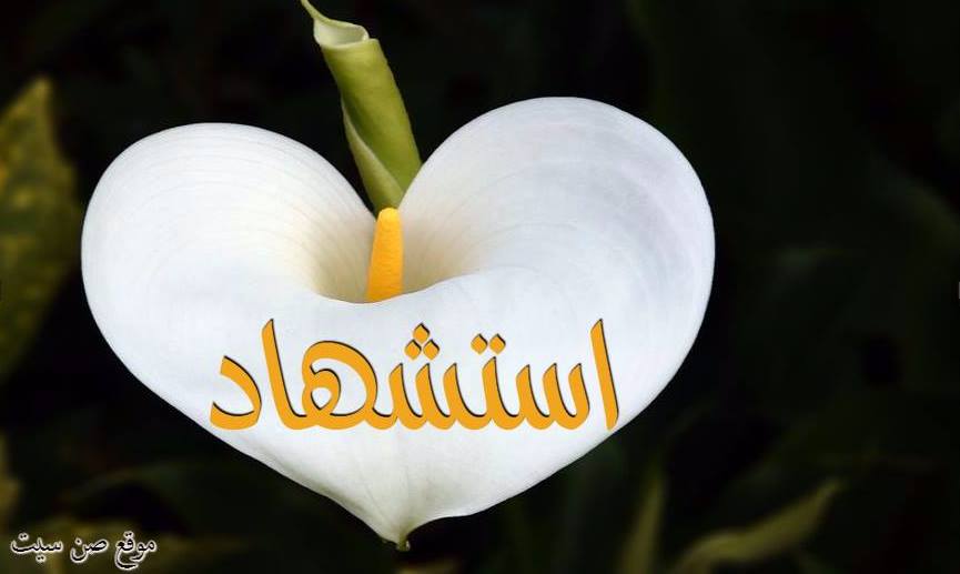 اسم استشهاد في صورة 749986001