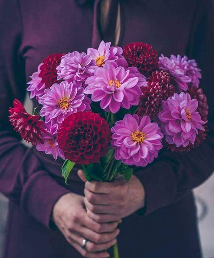 ���� ���� ������ �� ���� ������