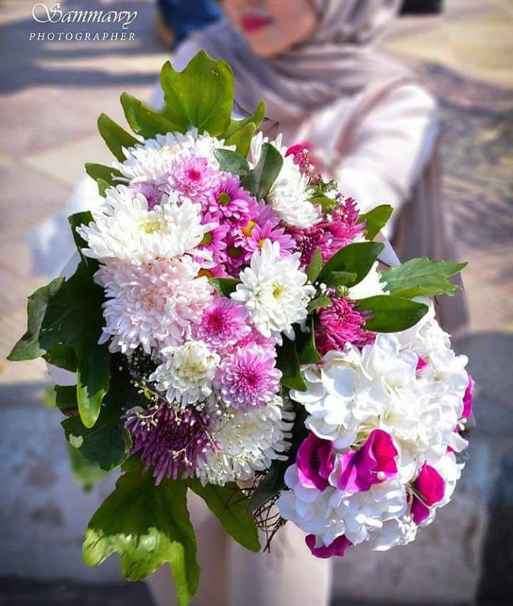 ���� ���� ������ �� ���� ������