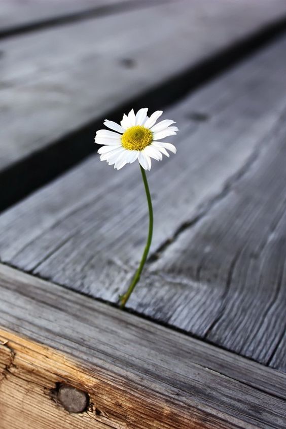 ���� ���� ������ �� ���� ������