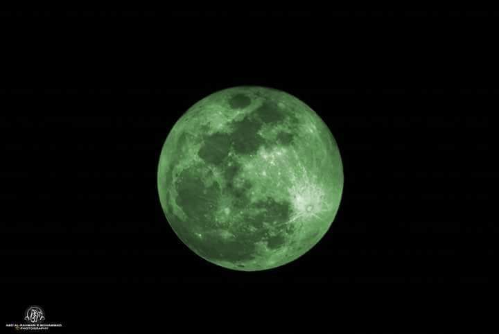 ���� ���� ������ �� ���� ������