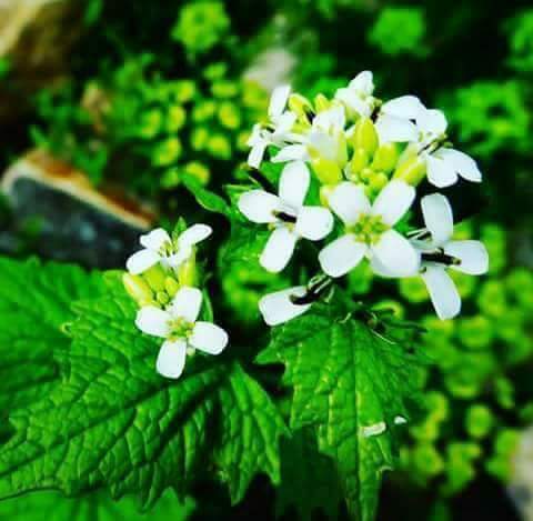 ���� ���� ������ �� ���� ������