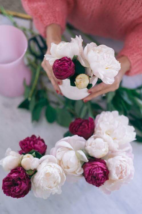 ���� ���� ������ �� ���� ������