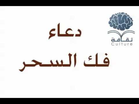 الحبيب بسورة الضحى 00201008572511 719909932.jpg