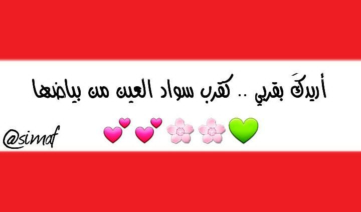 ���� ���� ������ �� ���� ������