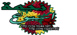 نجمة اسبوع نجمة اسبوع