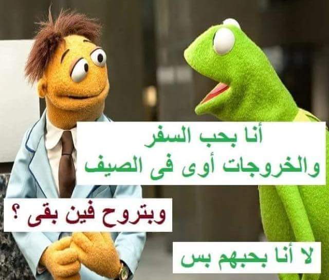 ���� ���� ������ �� ���� ������