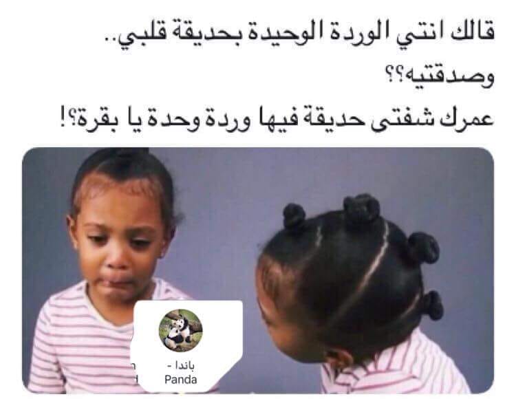 ���� ���� ������ �� ���� ������