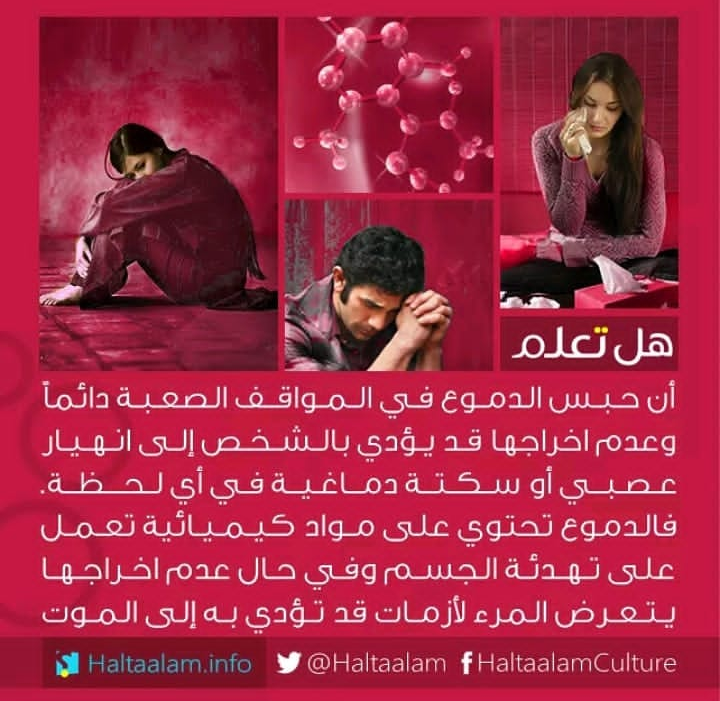 ���� ���� ������ �� ���� ������