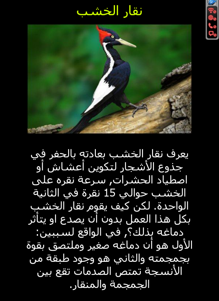 صورة