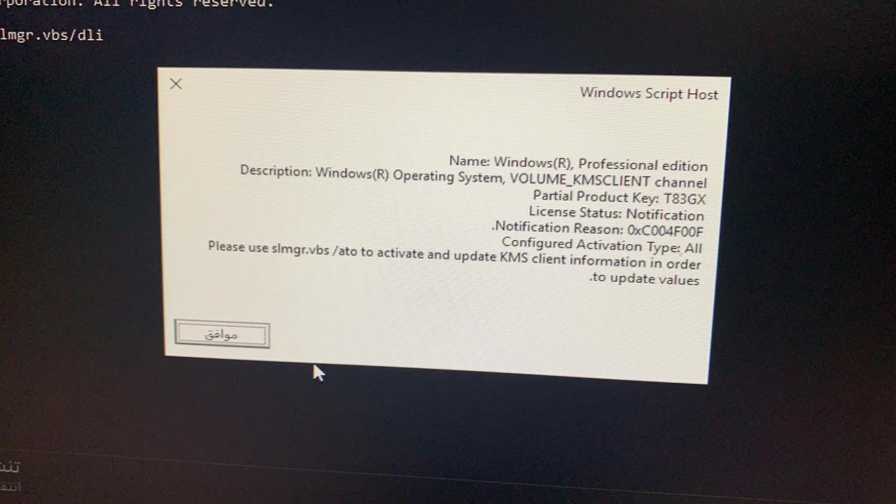 537083283.jpg