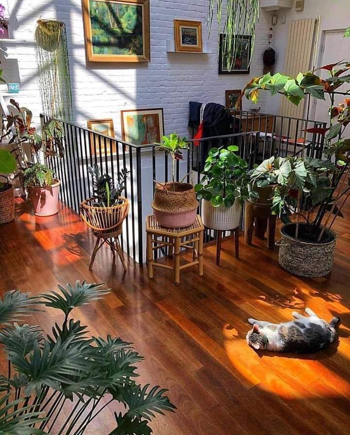 ���� ���� ������ �� ���� ������