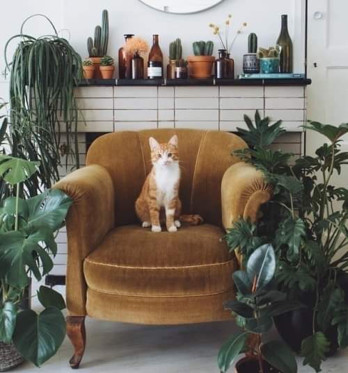 ���� ���� ������ �� ���� ������