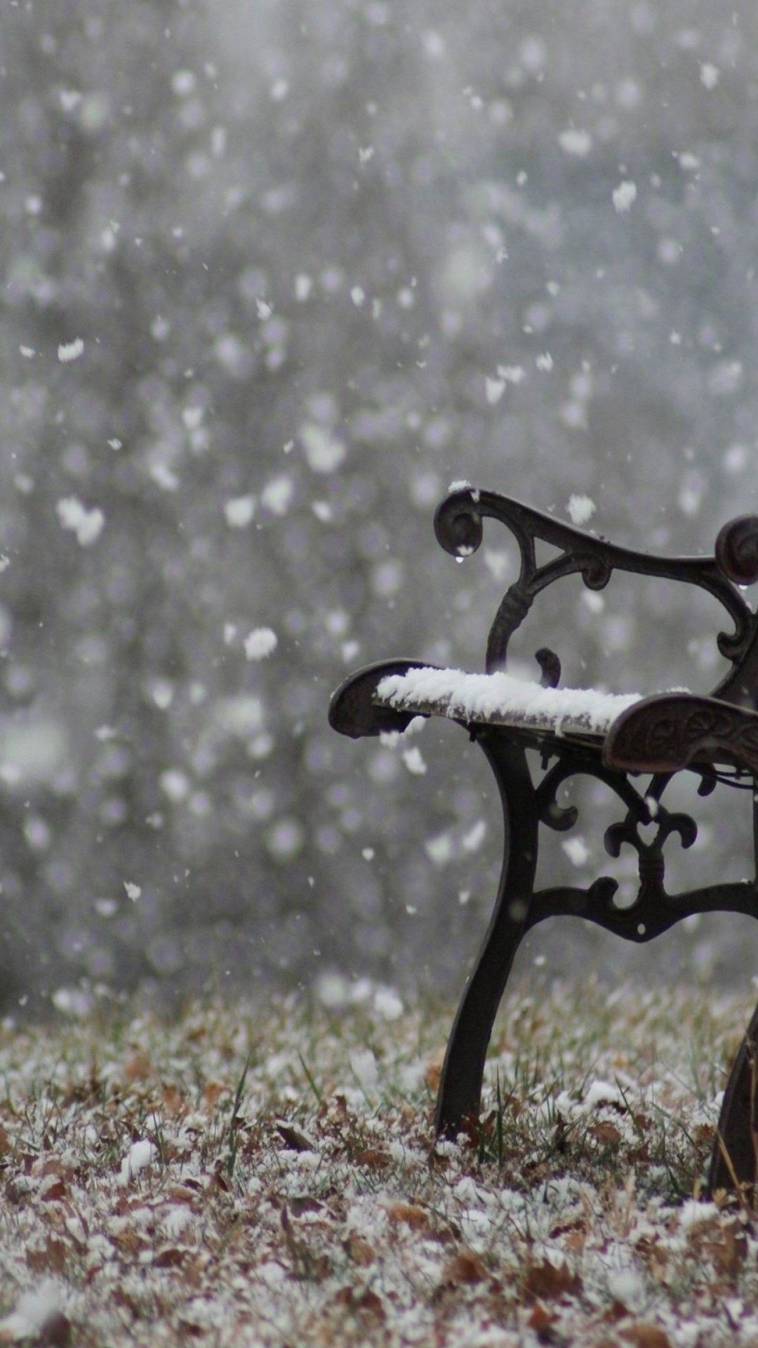 ���� ���� ������ �� ���� ������