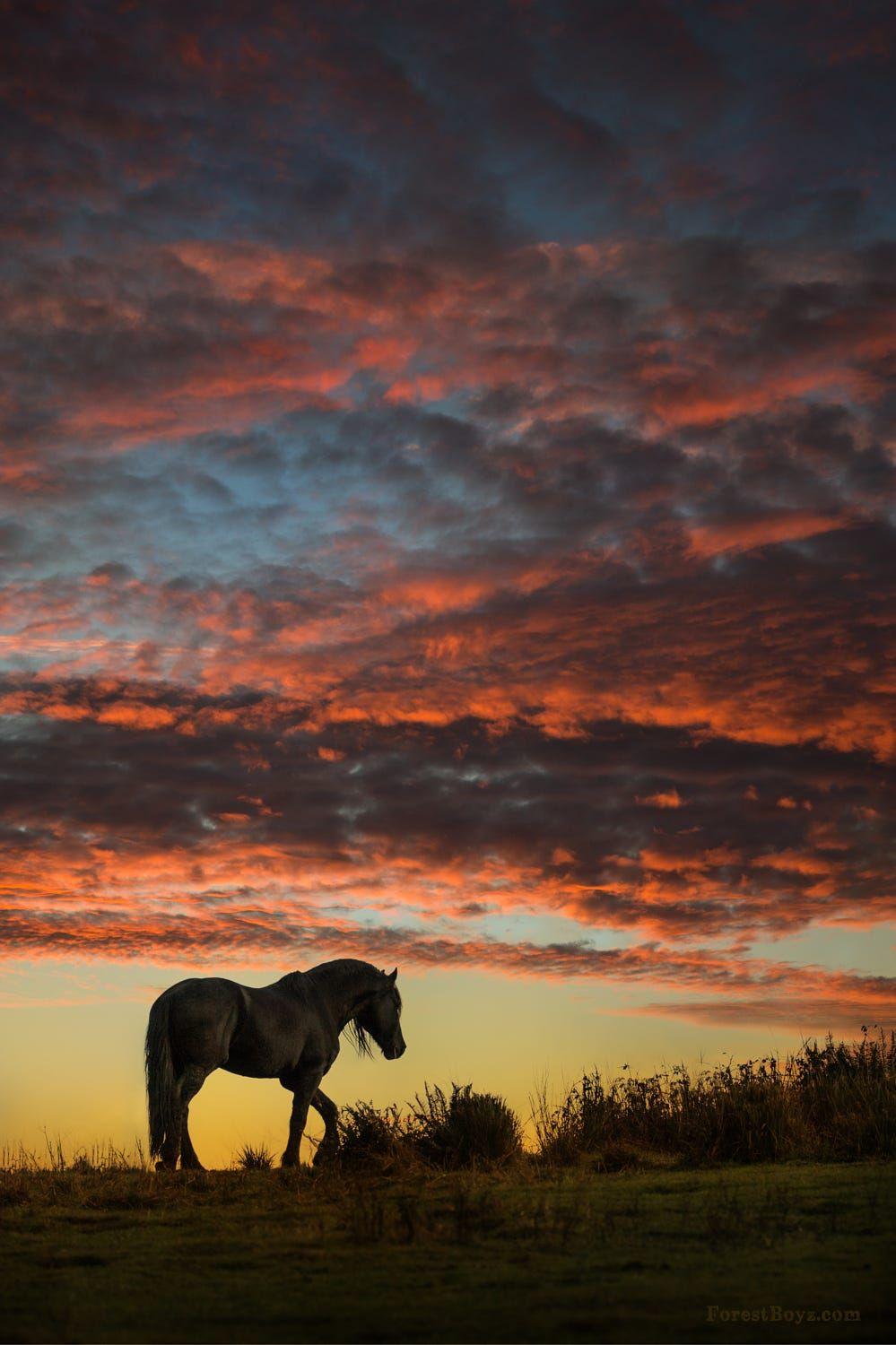 ���� ���� ������ �� ���� ������