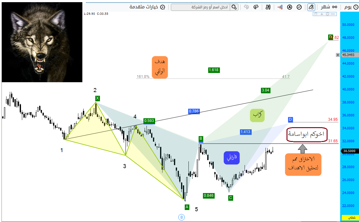 سهم معدنية - هوامير البورصة السعودية