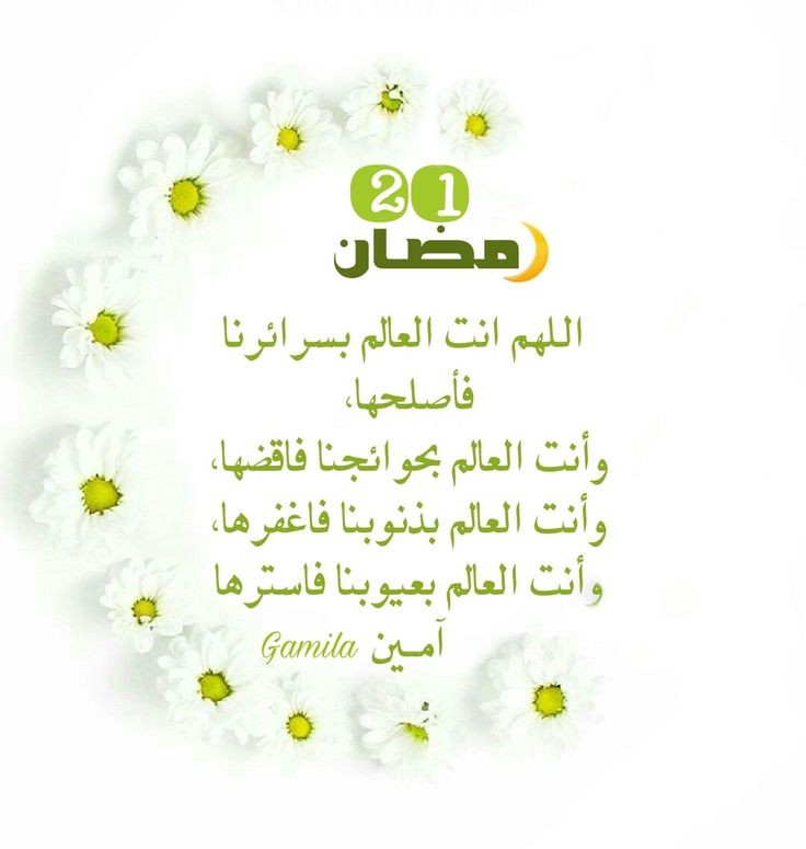 ���� ���� ������ �� ���� ������