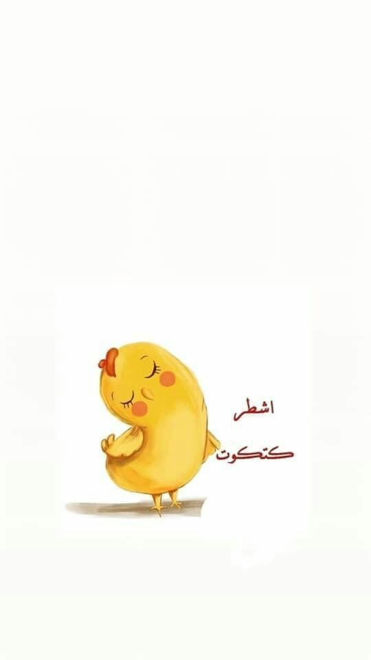 ���� ���� ������ �� ���� ������