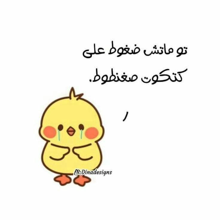 ���� ���� ������ �� ���� ������