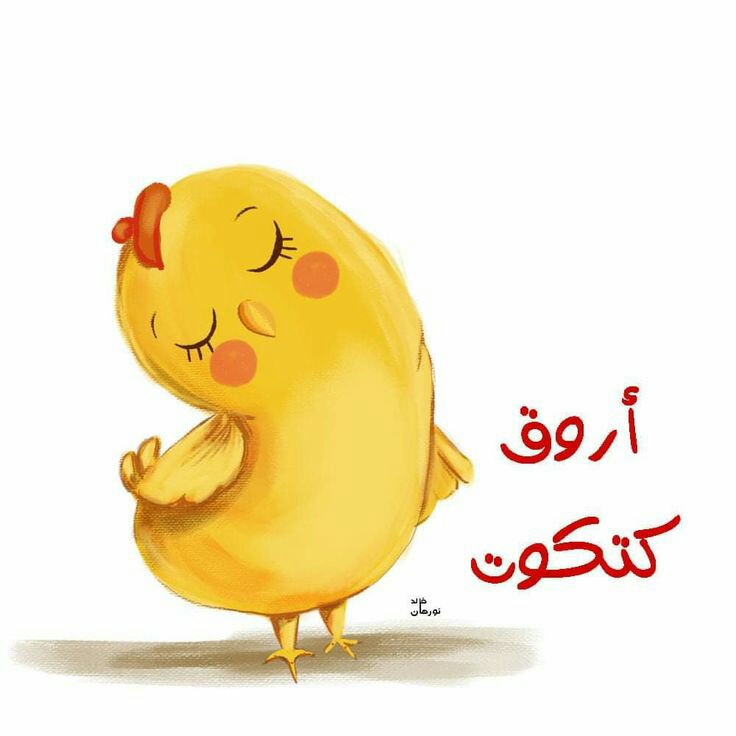 ���� ���� ������ �� ���� ������