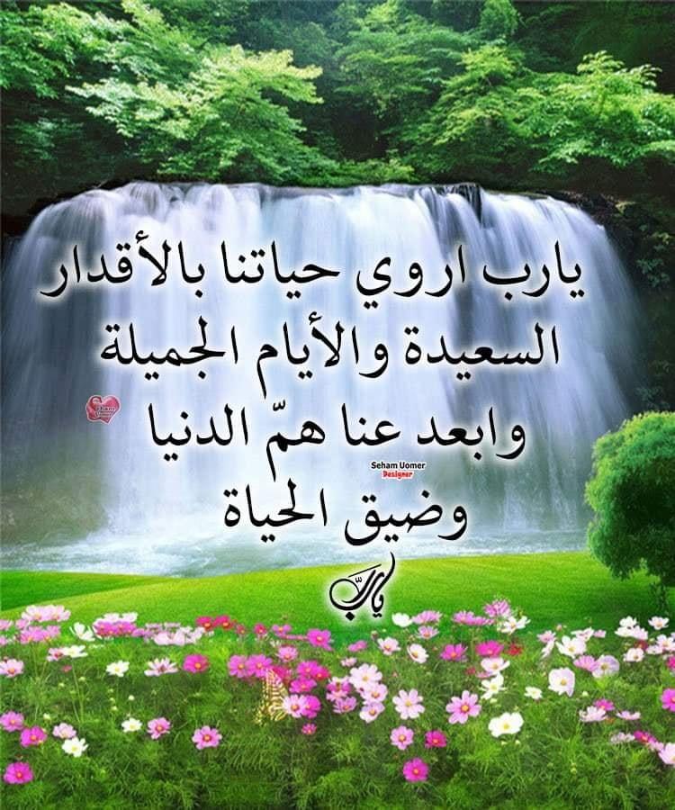 ���� ���� ������ �� ���� ������