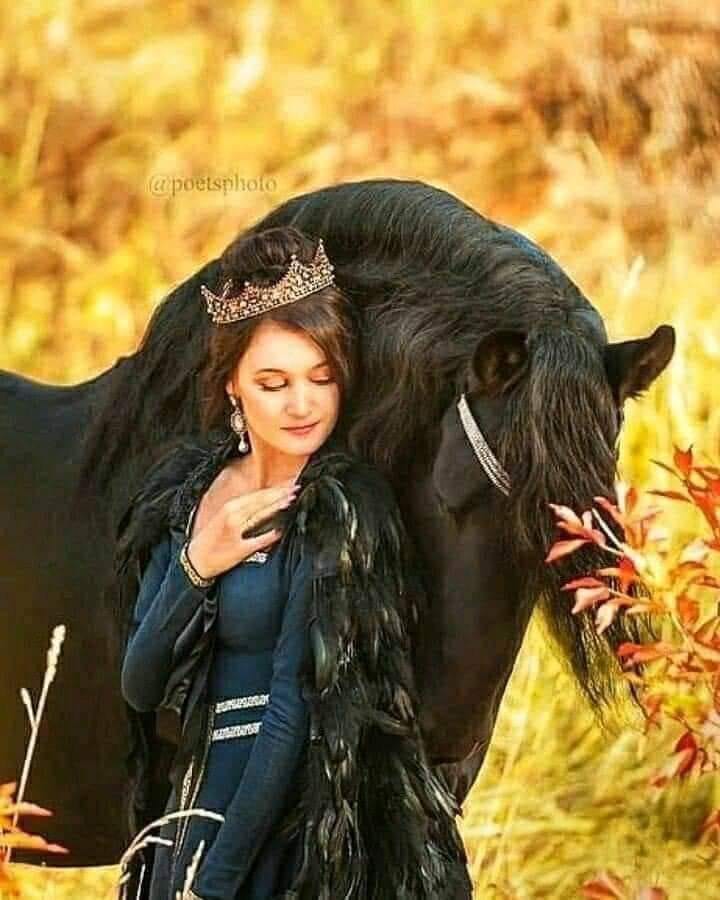 ���� ���� ������ �� ���� ������