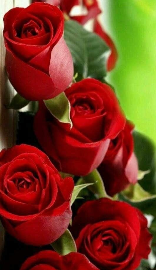 ���� ���� ������ �� ���� ������