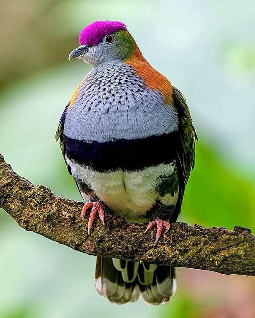 ���� ���� ������ �� ���� ������