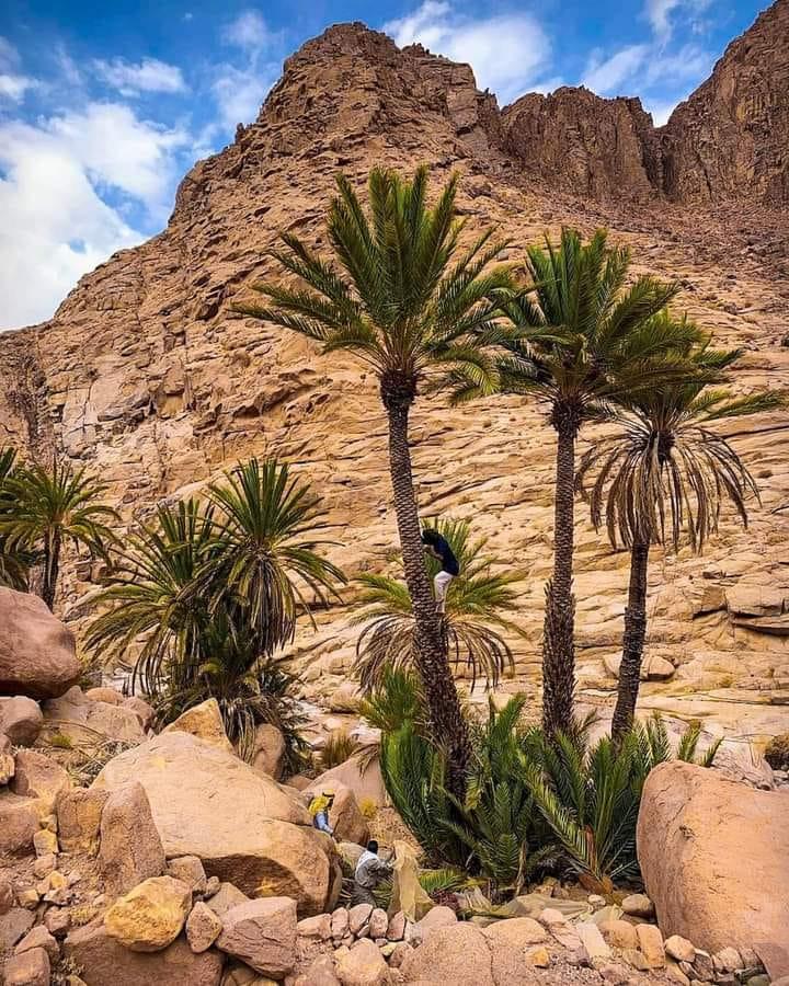 ���� ���� ������ �� ���� ������