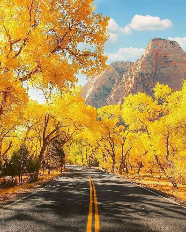 ���� ���� ������ �� ���� ������