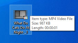 732257509.jpg