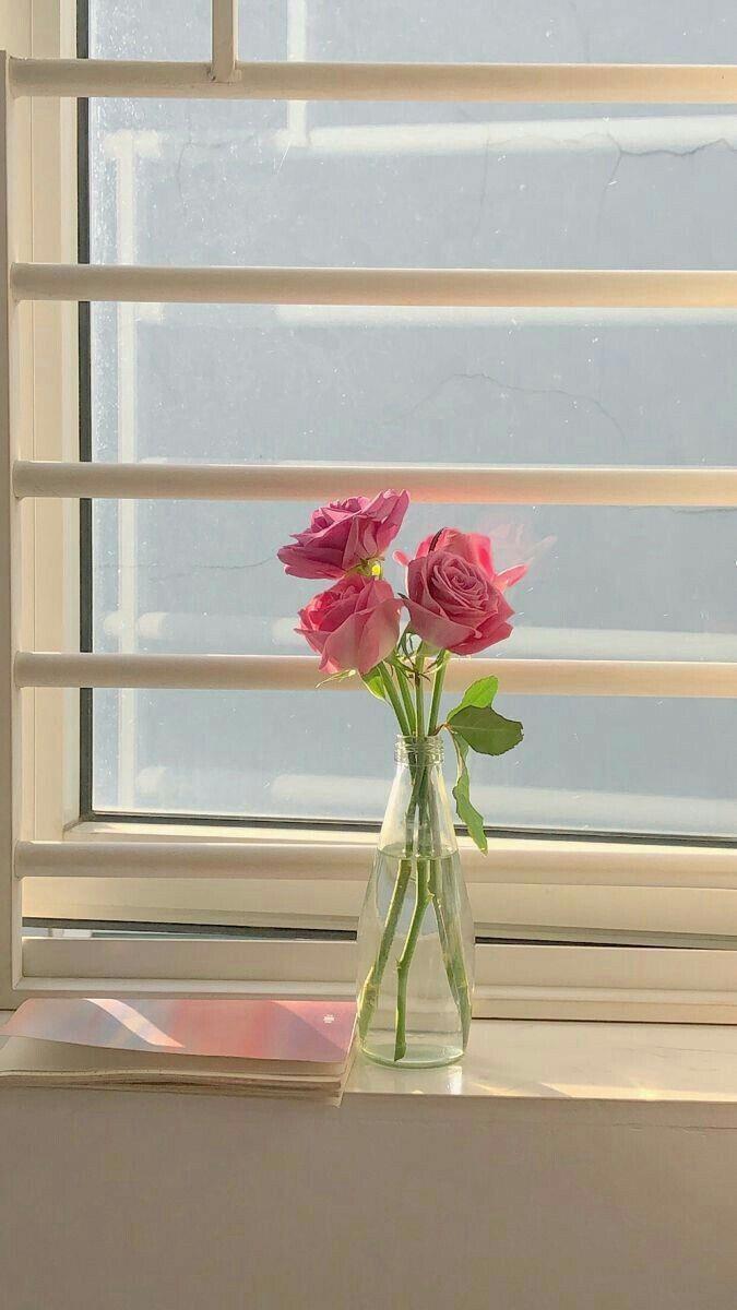 ���� ���� ������ �� ���� ������