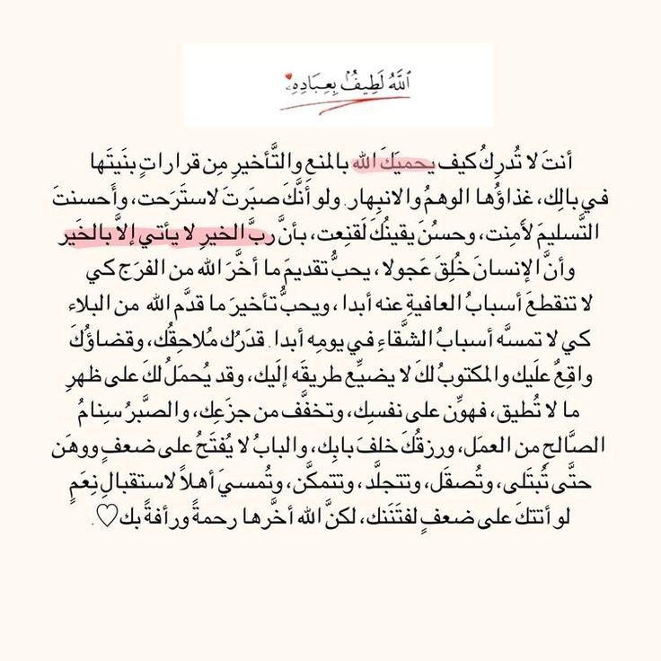 ���� ���� ������ �� ���� ������