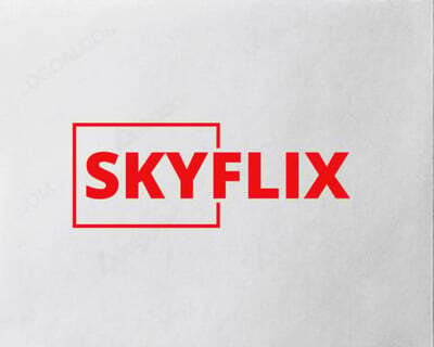 متجر SKYFLIX سكاي فليكس اشتراك نتفلكس 353807736